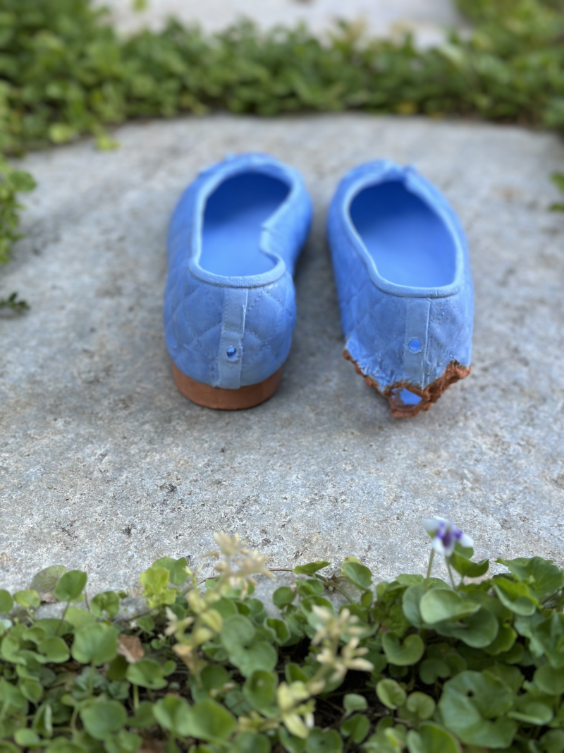 Concealed Shoes - Blue
