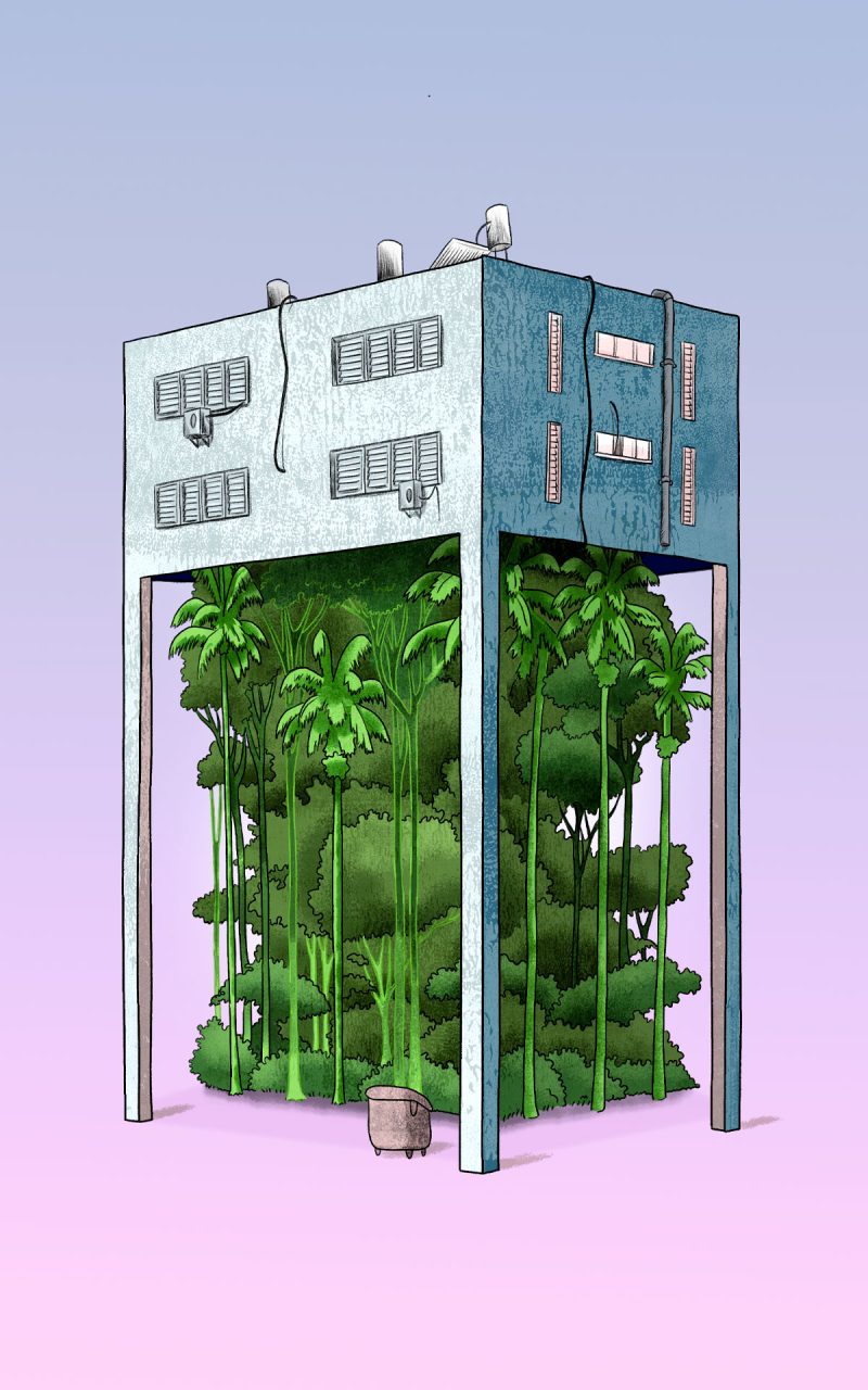 The Housing Complex