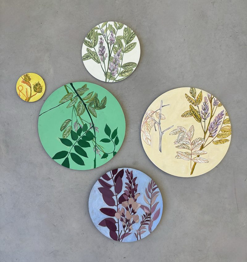 Flora and fauna
