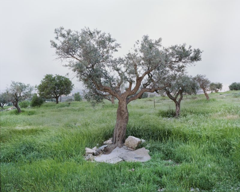End of Hebron Road