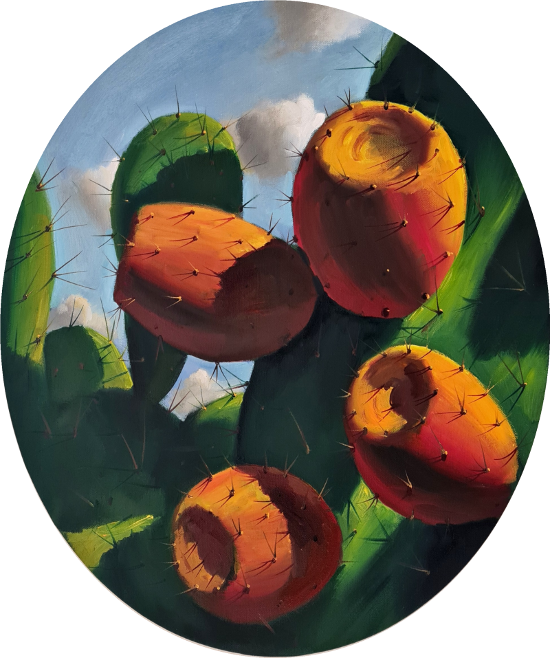 Fruits of the cactus